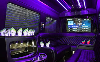 14-passenger Sprinter vans